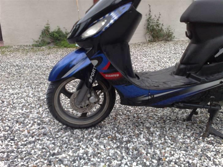 Giantco sport. solgt billede 7