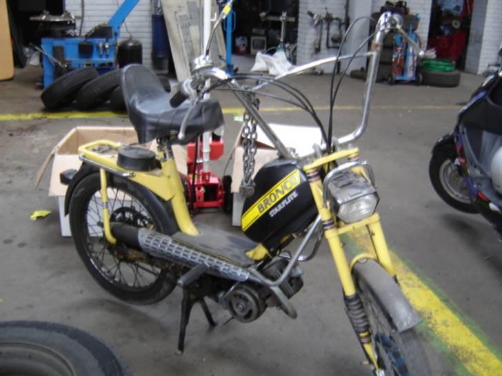 Veteraner bronco starflite billede 1