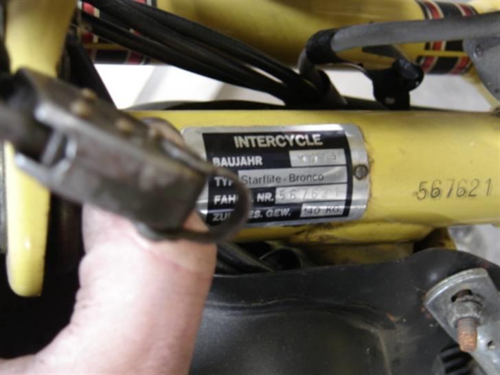 Veteraner bronco starflite billede 7