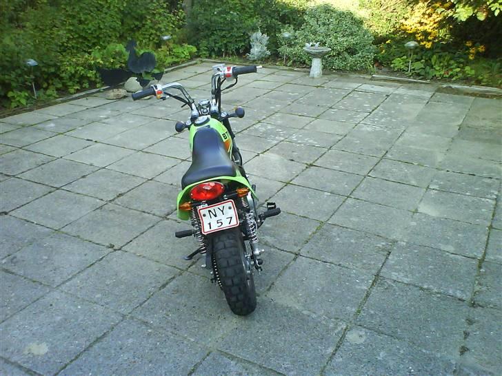 Baotian monkey SOLGT billede 7