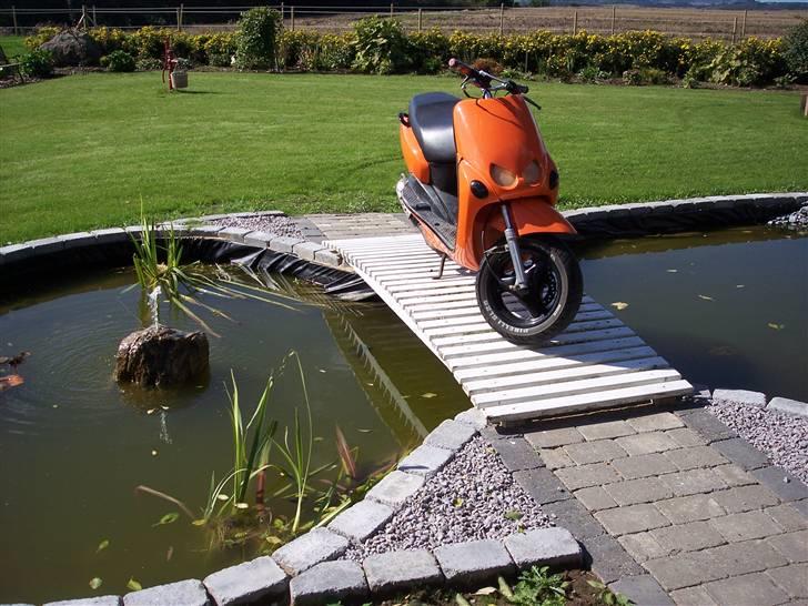 Yamaha Neos billede 8