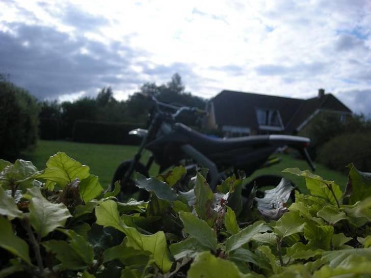 Gilera RCR.. SOLGT billede 3