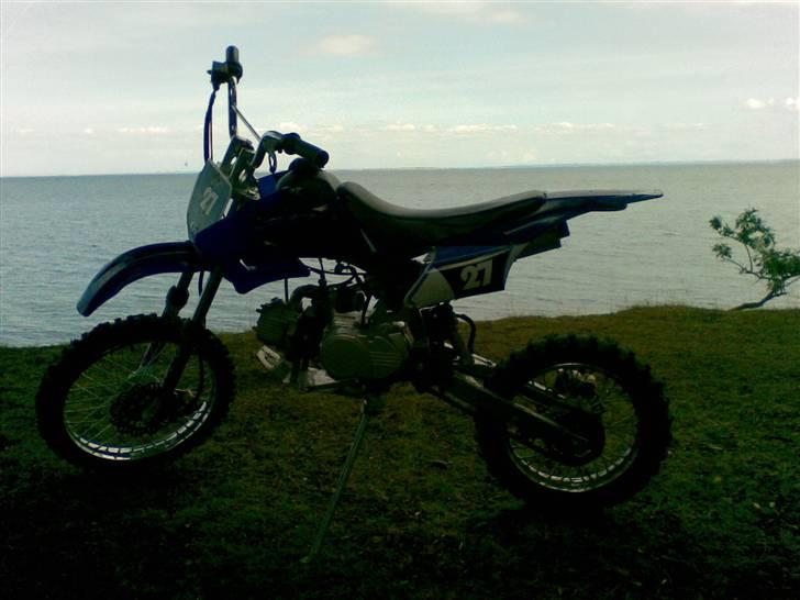 MiniBike Orion 125 ccm ÐÐ  byttet  - på skovtur om aftenen billede 8