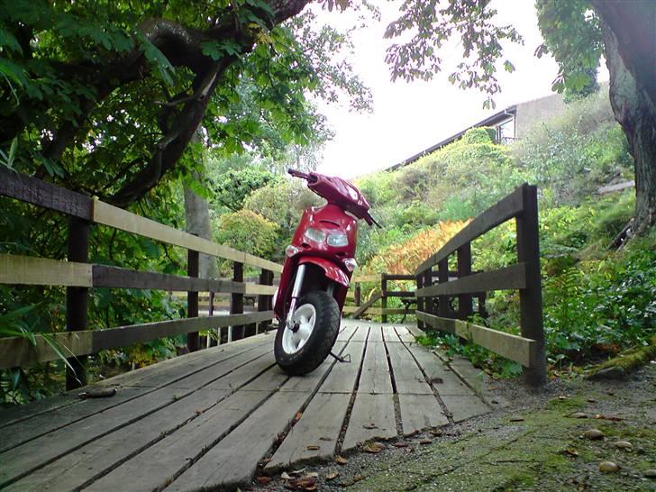 Aprilia Rally MHR 95%(sælge) billede 18