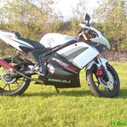 Rieju Matrix RS2 Pro {SOLGT}