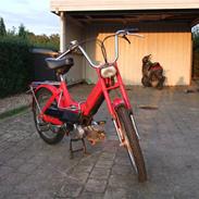 Puch Maxi P  projekt 100%