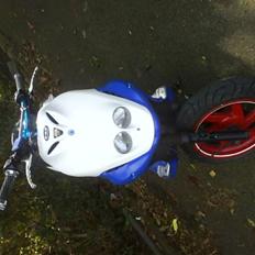 PGO pmx sport
