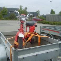 Suzuki Fz 50 (SOLGT)