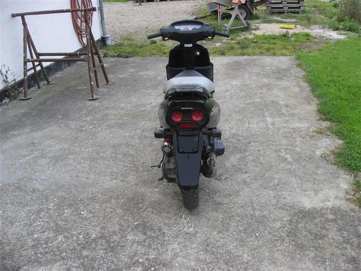 Honda SFX // Solgt // billede 3