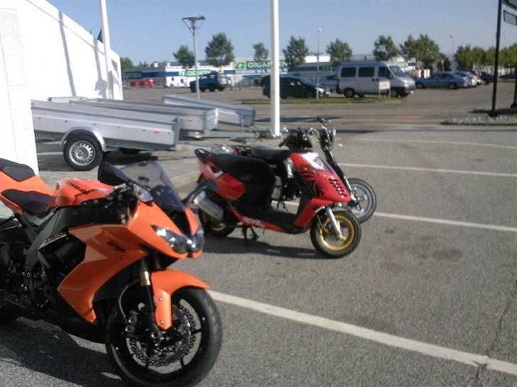 Suzuki FZ50  billede 8