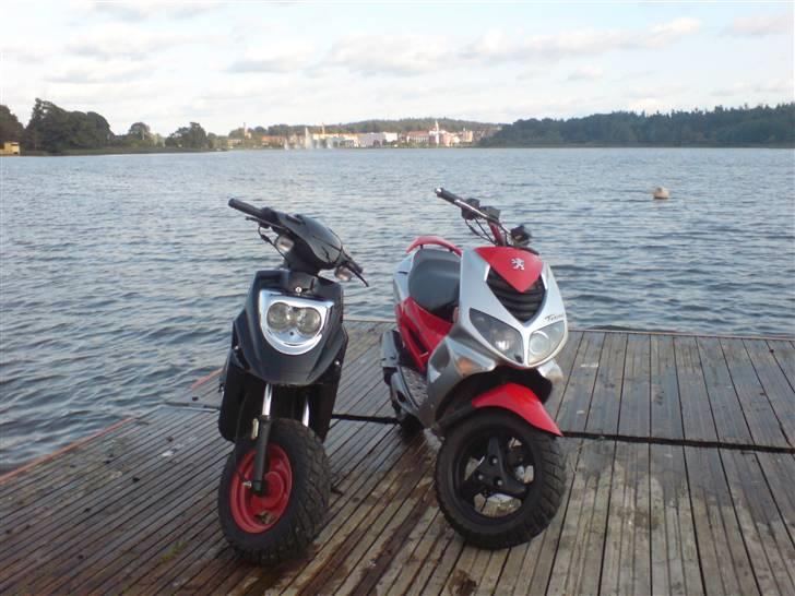 Peugeot speedfight 2 furious billede 11