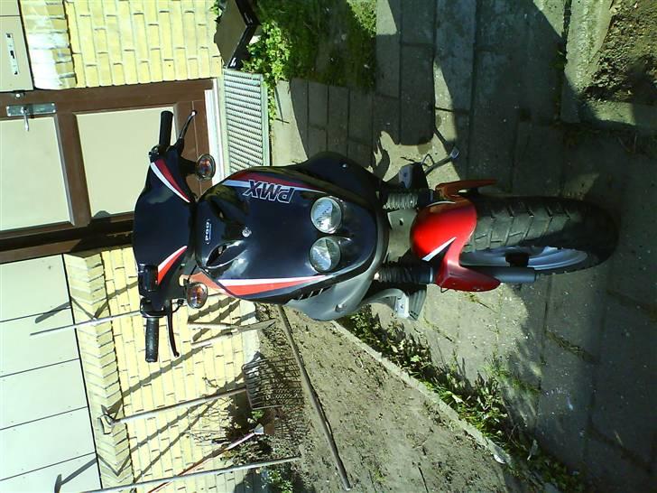 PGO pmx sport billede 2