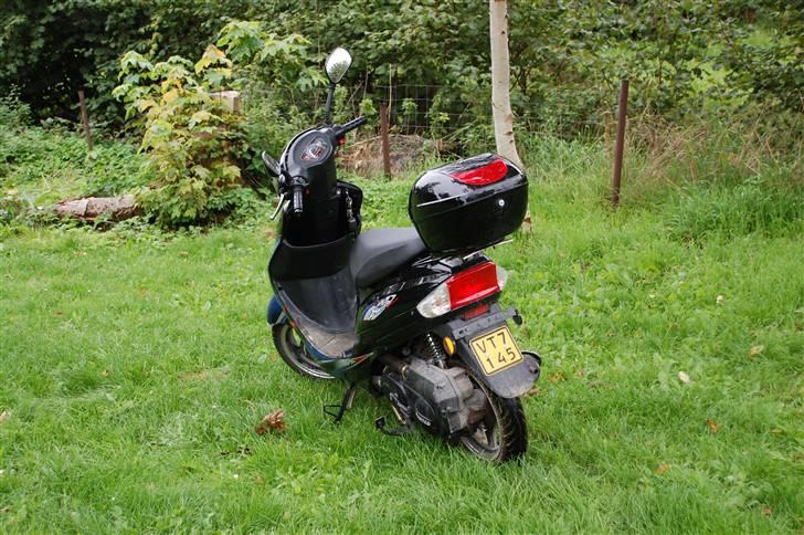 Giantco sprint aldrig sælges billede 3