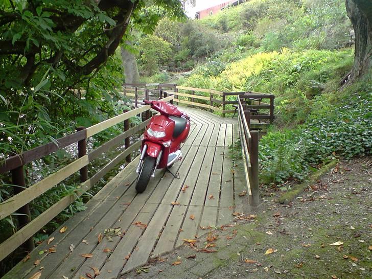 Aprilia Rally MHR 95%(sælge) billede 20