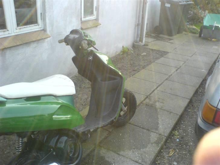 Honda SFX byttet til lowrider billede 7