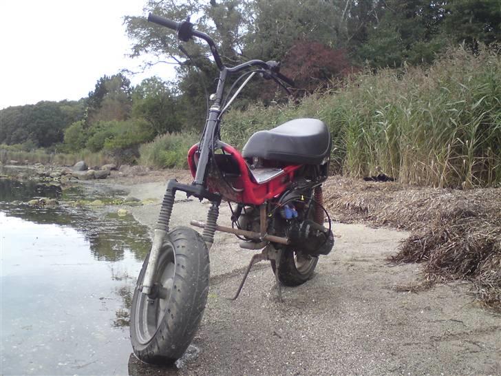 Yamaha jog ( død ) billede 15