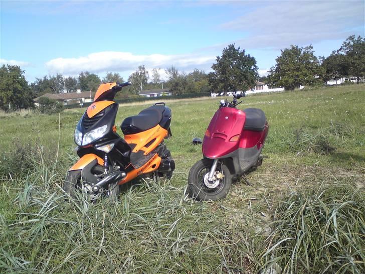 PGO Comet. ( solgt )  billede 2