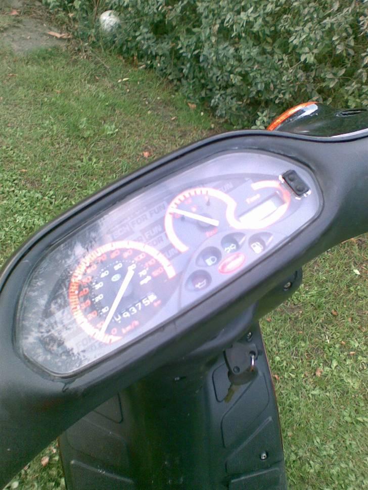 Piaggio thyphoon billede 2