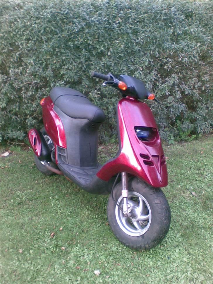 Piaggio thyphoon billede 3