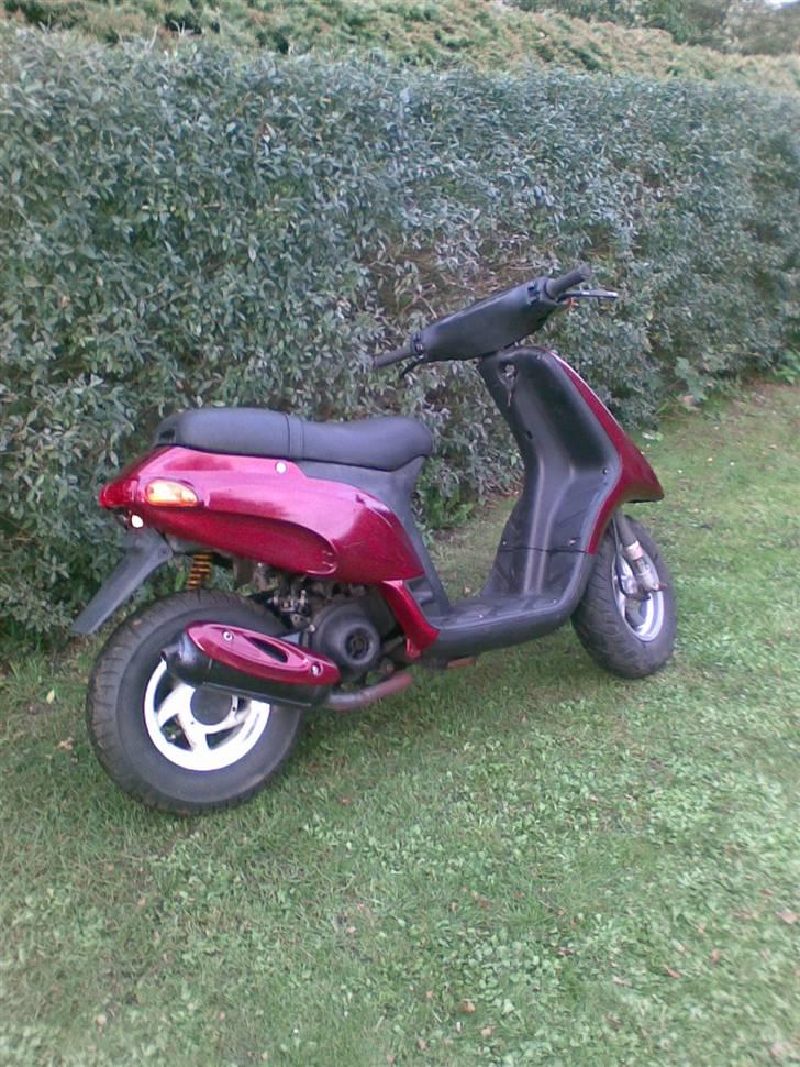 Piaggio thyphoon billede 4