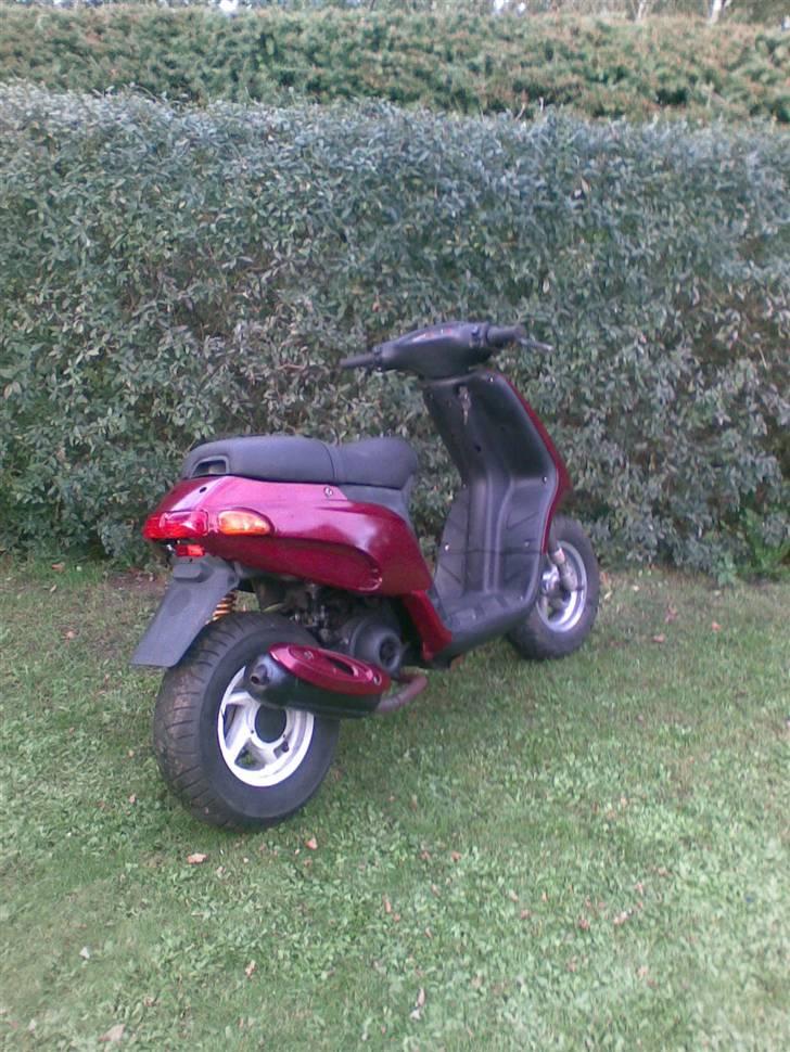 Piaggio thyphoon billede 5