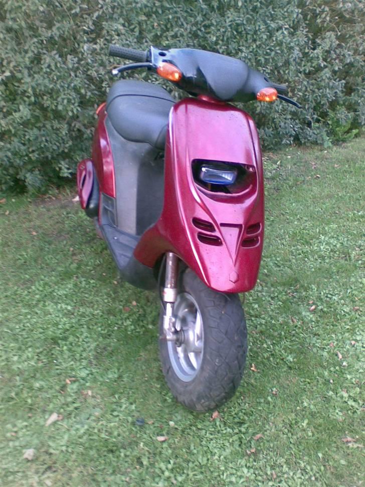 Piaggio thyphoon billede 6