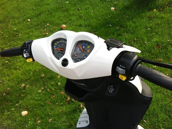 PGO PMX SPORT billede 6