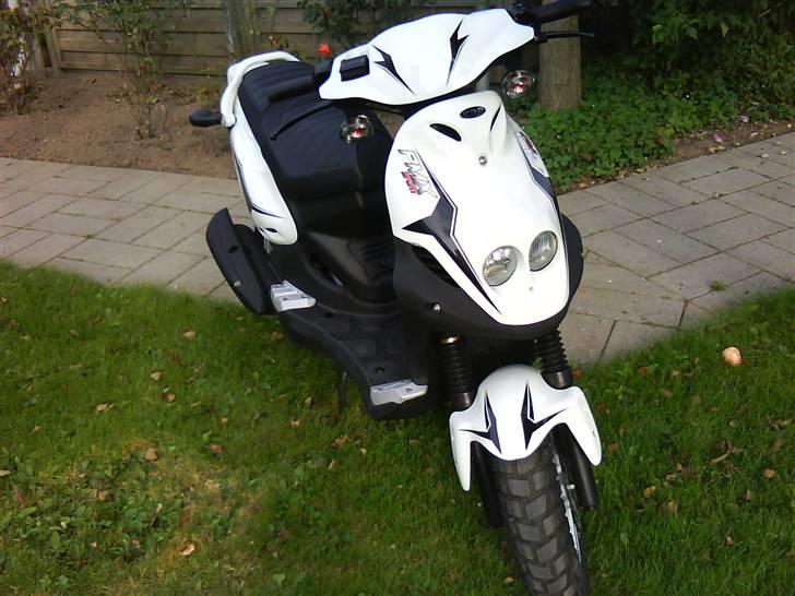 PGO PMX SPORT billede 7