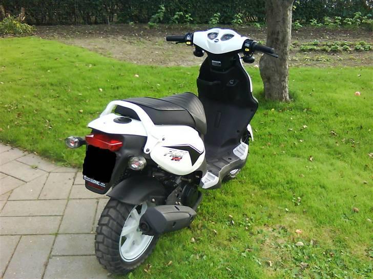 PGO PMX SPORT billede 10