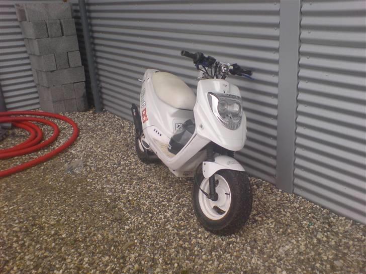 PGO Hot 50 ( solgt ) billede 12