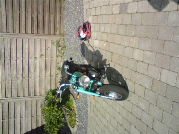 Jincheng monkey billede 4