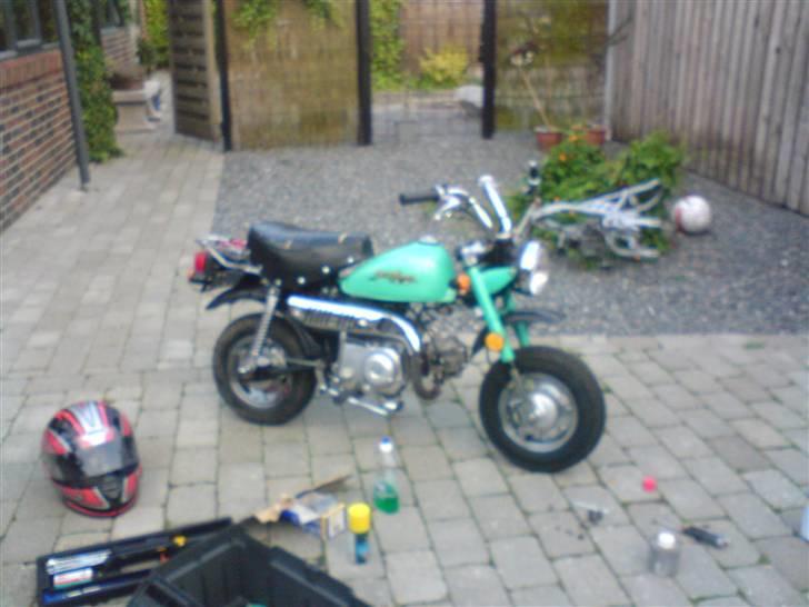 Jincheng monkey billede 5