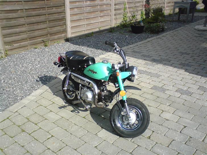 Jincheng monkey billede 6