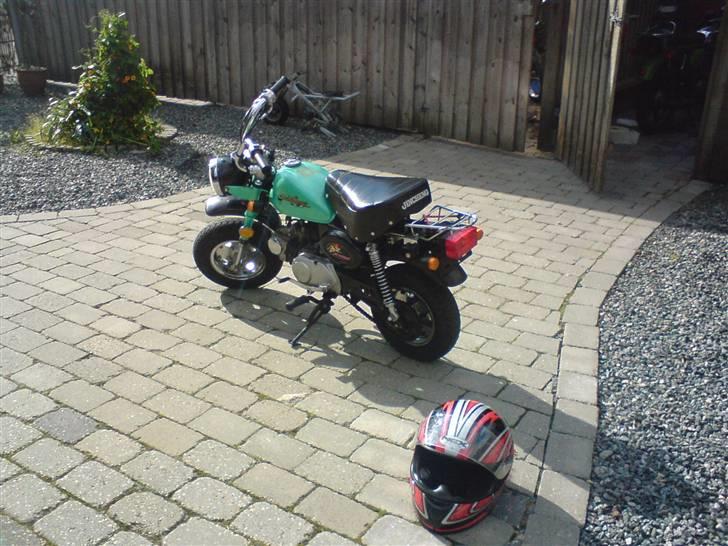 Jincheng monkey billede 7