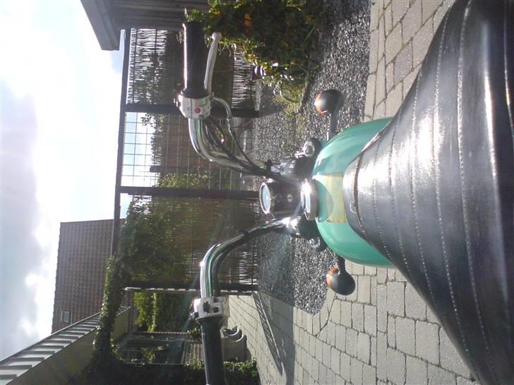 Jincheng monkey billede 8