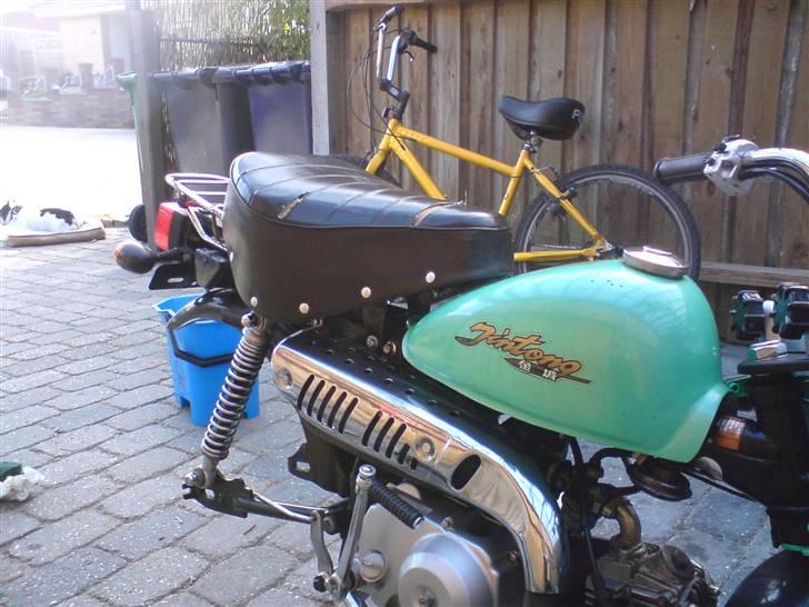 Jincheng monkey billede 9