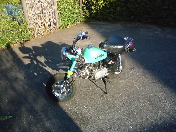 Jincheng monkey billede 10