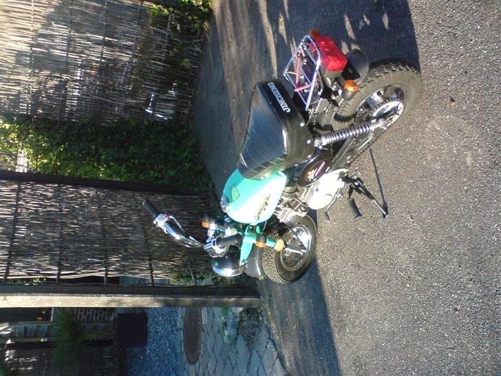 Jincheng monkey billede 11