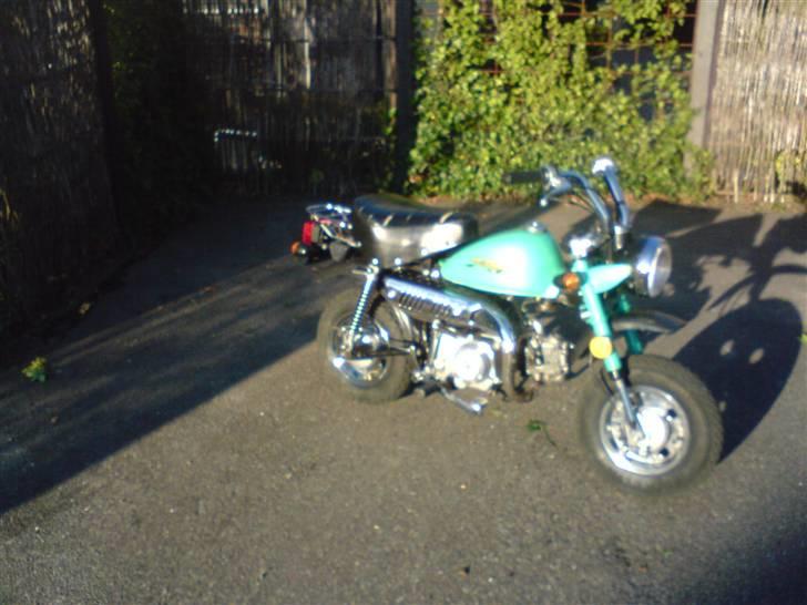 Jincheng monkey billede 12