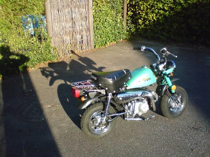 Jincheng monkey billede 13