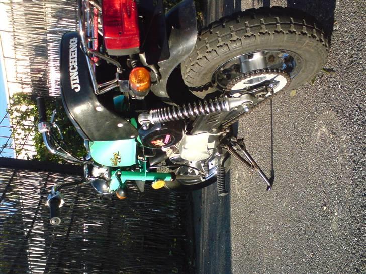 Jincheng monkey billede 14