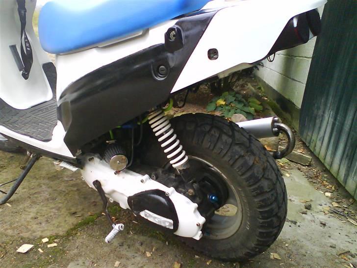 PGO Hot'50 "The Beast" billede 10