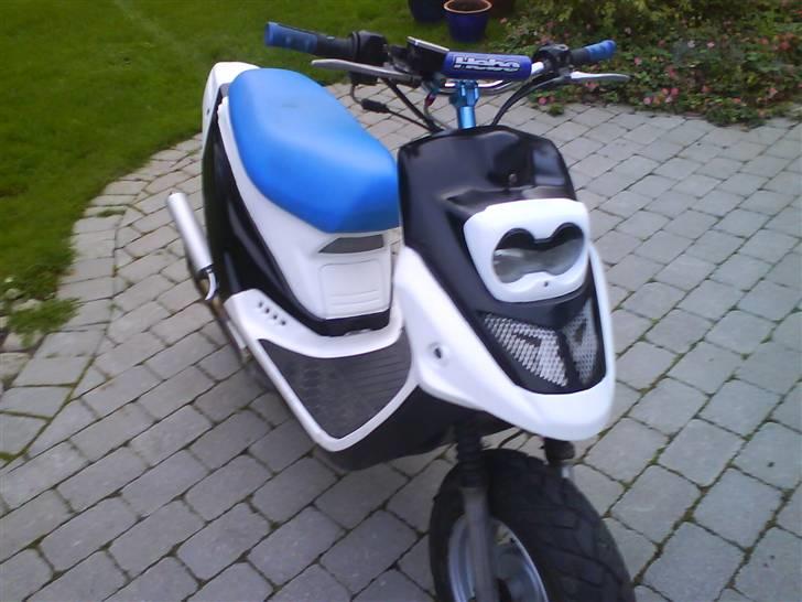 PGO Hot'50 "The Beast" billede 13