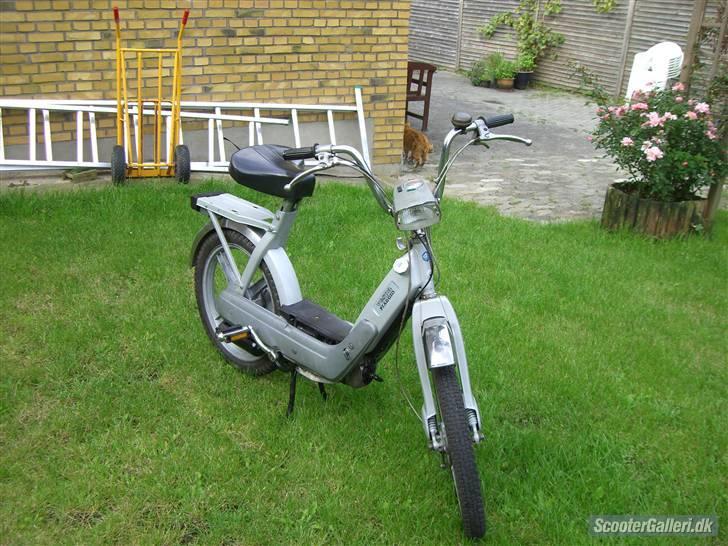 Piaggio caio solgt billede 15