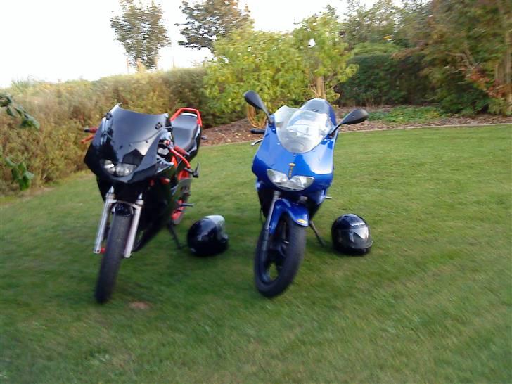 Aprilia Rs 50 Det Blå Lyn SOLGT  billede 1