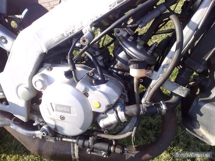 Aprilia Rs 50 Det Blå Lyn SOLGT  billede 3