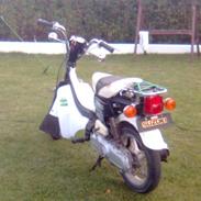 Suzuki fz 50