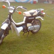 Suzuki fz 50