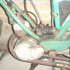 Veteraner Witler / (SOLGT!)