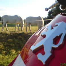 Peugeot SF 2 AC 206 WRC [SOLGT]